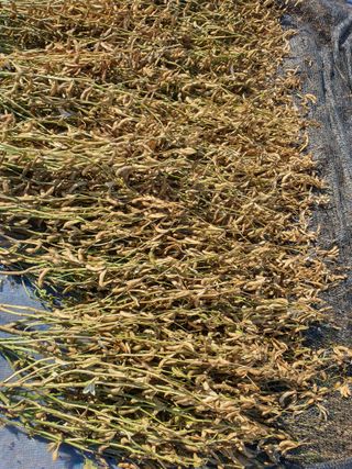 이용순님의 자유주제 · 자유게시판 작성글 사진