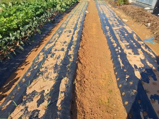 이용순님의 자유주제 · 자유게시판 작성글 사진