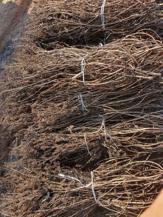 이용순님의 자유주제 · 자유게시판 작성글 사진