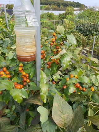 이용순님의 자유주제 · 자유게시판 작성글 사진