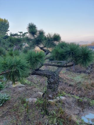 알 수 없음님의 자유주제 · 자유게시판 작성글 사진