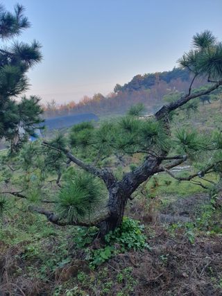 알 수 없음님의 자유주제 · 자유게시판 작성글 사진