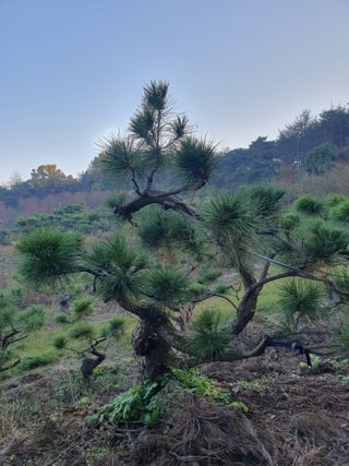 알 수 없음님의 자유주제 · 자유게시판 작성글 사진