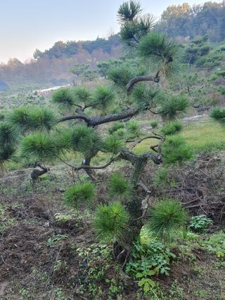 알 수 없음님의 자유주제 · 자유게시판 작성글 사진