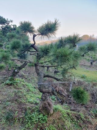 알 수 없음님의 자유주제 · 자유게시판 작성글 사진