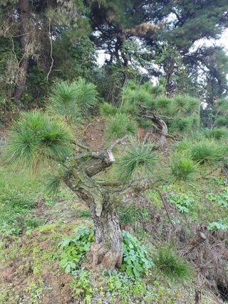 알 수 없음님의 자유주제 · 자유게시판 작성글 사진
