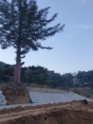 알 수 없음님의 자유주제 · 자유게시판 작성글 사진