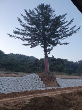 알 수 없음님의 자유주제 · 자유게시판 작성글 사진