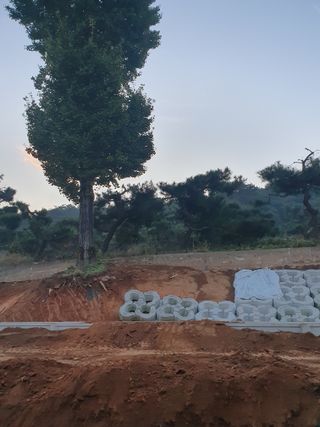 알 수 없음님의 자유주제 · 자유게시판 작성글 사진