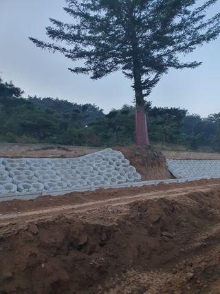 알 수 없음님의 자유주제 · 자유게시판 작성글 사진