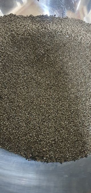 한밭농원님의 자유주제 · 자유게시판 작성글 사진