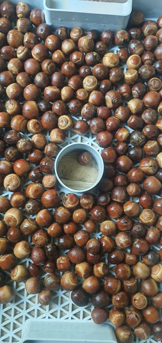 한밭농원님의 자유주제 · 자유게시판 작성글 사진