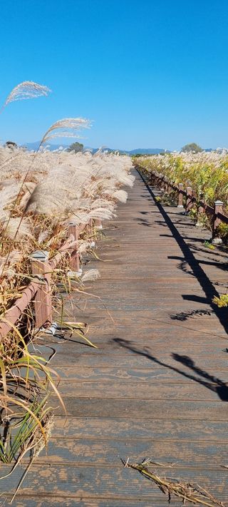 한밭농원님의 자유주제 · 자유게시판 작성글 사진