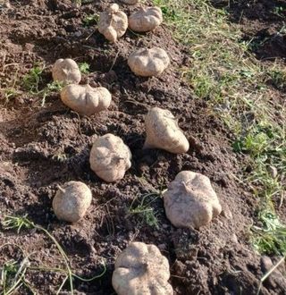 원빈님의 자유주제 · 자유게시판 작성글 사진