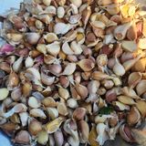 팜모닝 · 게시글 이미지