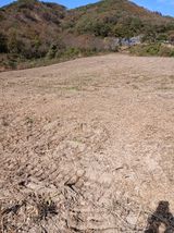 팜모닝 자유주제·자유게시판 게시글 이미지