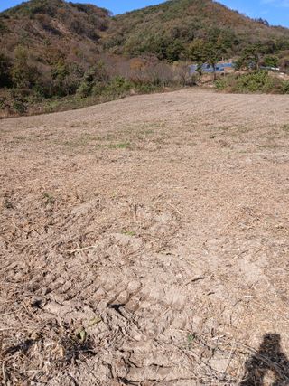 손인순님의 자유주제 · 자유게시판 작성글 사진