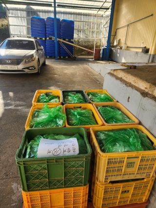 김영명님의 기타작물 · 영농일지 작성글 사진