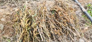 임원식님의 자유주제 · 자유게시판 작성글 사진