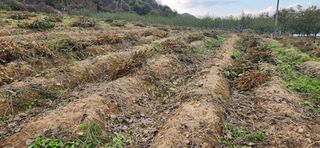 임원식님의 자유주제 · 자유게시판 작성글 사진