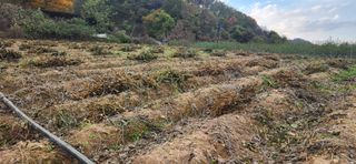 임원식님의 자유주제 · 자유게시판 작성글 사진