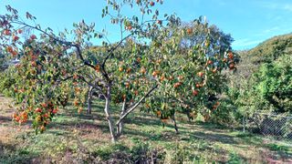 이순기님의 농사경력 최고의 순간을 알려주세요. · 참여글 작성글 사진