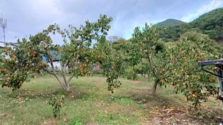 이순기님의 농사경력 최고의 순간을 알려주세요. · 참여글 작성글 사진