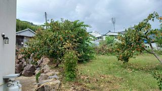 이순기님의 농사경력 최고의 순간을 알려주세요. · 참여글 작성글 사진