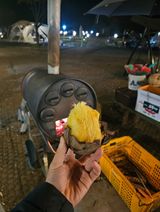 팜모닝 자유주제·자유게시판 게시글 이미지