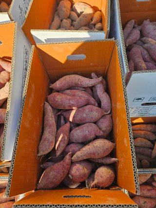 알 수 없음님의 자유주제 · 자유게시판 작성글 사진