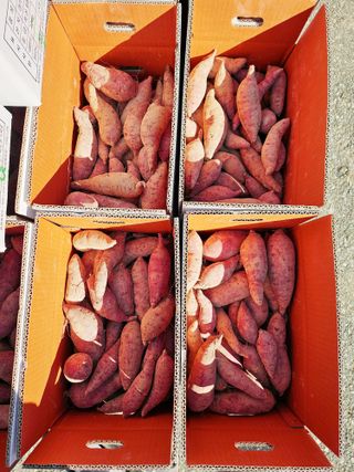 알 수 없음님의 자유주제 · 자유게시판 작성글 사진