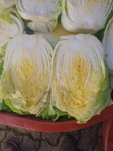 팜모닝 자유주제·자유게시판 게시글 이미지