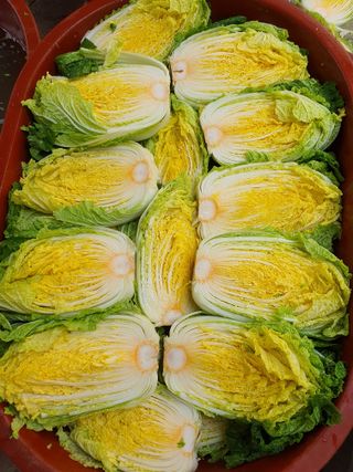 안비님의 자유주제 · 자유게시판 작성글 사진