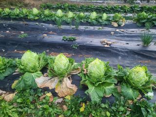 고세웅님의 자유주제 · 자유게시판 작성글 사진