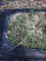 팜모닝 농사경력 최고의 순간을 알려주세요.·참여글 게시글 이미지