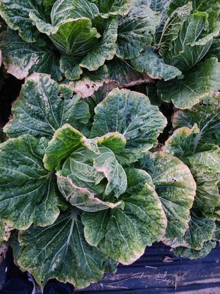 8402님의 자유주제 · 자유게시판 작성글 사진