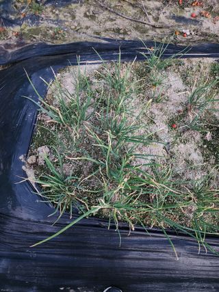 8402님의 자유주제 · 자유게시판 작성글 사진