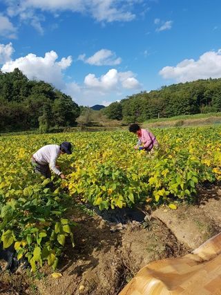 신동익님의 작성글 사진