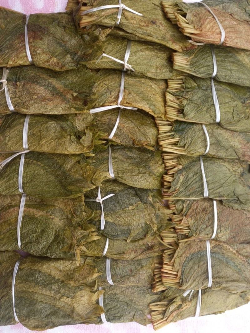 신동익님의 장터 판매 상품 [단풍깻잎  ] 첨부 사진