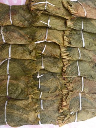 신동익님의 작성글 사진