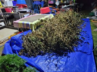 천산님의 콩 · 영농일지 작성글 사진