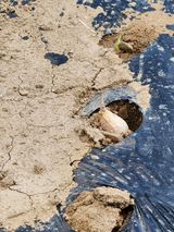 팜모닝 자유주제·자유게시판 게시글 이미지