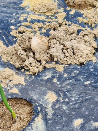 이동호님의 자유주제 · 자유게시판 작성글 사진