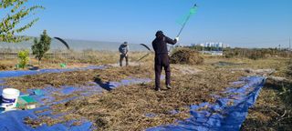 정진해님의 자유주제 · 자유게시판 작성글 사진