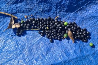 정진해님의 자유주제 · 자유게시판 작성글 사진