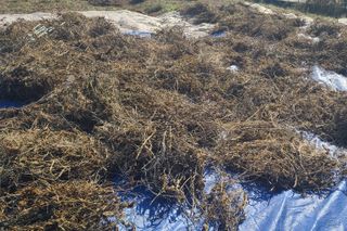 정진해님의 자유주제 · 자유게시판 작성글 사진