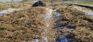 정진해님의 자유주제 · 자유게시판 작성글 사진