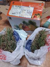 팜모닝 👀최근 산 것은?·참여글 게시글 이미지