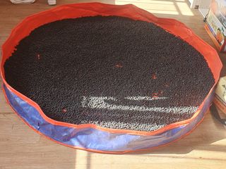 참가죽님의 콩 · 영농일지 작성글 사진