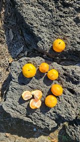 팜모닝 · 게시글 이미지